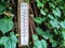 Street  Large scale thermometer in the shade of green leaves