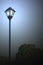 Street light