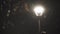 Street light glowing in dark winter night. City lantern in falling snow at Christmas night. Street lamp in falling snow