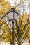 Street light lamp on background of branches of autumn beautiful bright orange multicolored leaves of tree wonderful grandeur of na