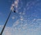 Street light pole against blue, cloudy sky.
