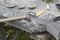 Street lighting. a masked worker processes a granite stone with a special tool. Close-up