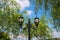 Street Lighting Pole and Willow Trees