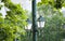 Street lights - old vintage look green colur with trees in background