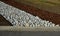 The street line is planted in a rectangular strip mulched by large white pebbles. clearer and more formal appearance than mulch ba