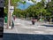 Street with Little Traffic, with Trees on the Edges and People Walking on the Sidewalks