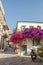 Street with lovely bougainvillea tree