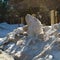 Street with melting massive snow piles