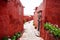 Street in the monastery of Santa Catalina, Arequipa, Peru, old walls of terracotta color, along the walls of geraniums