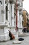 Street musician near Scuola Grande di San Rocco