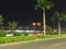 street nightscape and coconut trees