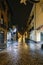 Street of the old town of Alcala de Henares on a very rainy nigh