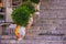 Street ornaments in Taormina, Sicily