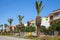 Street with palms on roadside in Tangier, Morocco