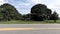Street pan summer foliage and homes in Georgia
