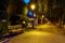 Street in a park in Burgos with trees, benches and streetlights. Night Photo. Spain. Castilla