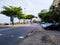 Street with parking, palm trees