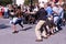 Street Performers Entertain Crowd in Washington Square Park, NYC