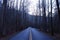 Street Photography of a Long Empty Road in the Woods in the Great Smoky Mountains National Park.