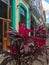 Street plant on the foreground and bright street of Havana