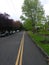 Street in Portland, trees, nature, grass, sidewalk, road