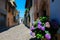 Street in Rimini with blooming flowers hydrangea near house, ancient city center. Vacation in beautiful Emilia Romagna