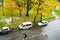 street road autumn cars rainy day trees yellow color leaves