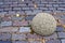 Street road brick background and granite ball