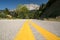 street road yellow lines trees mountain firs transportation background