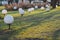 Street round white lanterns on a green lawn in a park