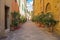 Street in San Quirico d`Orcia