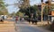 Street scene rural town, cattles herd, man in bike