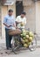 Street seller selling coconuts, India