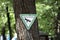 Street sign on a tree