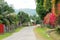 Street in a small tropical village. A lot of flowers.