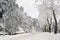 Street with snow_1