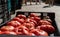 Street stall selling tomatoes, Spain