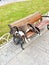 Street stray dog sleeping on bench