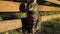 A street striped cat sits by the fence and basks in the sun. The life of cats outside the city, in the country.