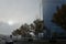 Street traffic and modern business building in misty air