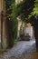Street in the Trastevere area in Rome