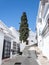 Street with tree in Frigiliana