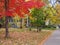 Street with trees in bright fall colors