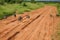 Street of Tsavo