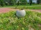 street vase for flowers in a summer park on green grass