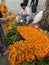 Street Vendor Series - Marigold flower vendor