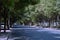 Street view with a car and trees on the both sides, sunlight making shadows