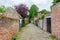 Street view in the historic small town of Veere, Netherlands