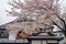 Street view of Kakunodate in springtime cherry blossom season sunny day morning