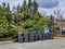 Street view of a large pile of tires outside of a car repair shop